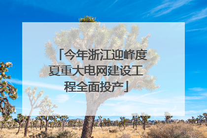 今年浙江迎峰度夏重大电网建设工程全面投产
