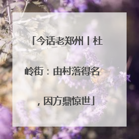 今话老郑州丨杜岭街：由村落得名，因方鼎惊世
