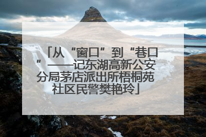 从“窗口”到“巷口”——记东湖高新公安分局茅店派出所梧桐苑社区民警樊艳玲