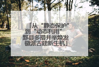 从“静态保护”到“动态利用” 黟县多措并举焕发徽派古建新生机