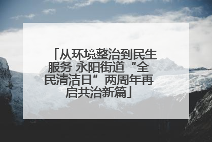 从环境整治到民生服务 永阳街道“全民清洁日”两周年再启共治新篇