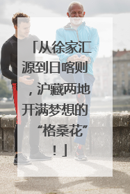 从徐家汇源到日喀则，沪藏两地开满梦想的“格桑花”！