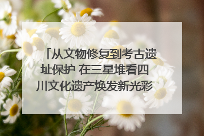 从文物修复到考古遗址保护 在三星堆看四川文化遗产焕发新光彩｜您牵挂的四川