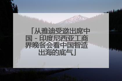 从雅迪受邀出席中国－印度尼西亚工商界晚餐会看中国智造出海的底气