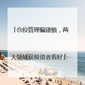 仓位管理偏谨慎，两大领域获投资者看好