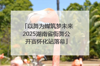 以舞为媒筑梦未来 2025湖南省街舞公开赛怀化站落幕