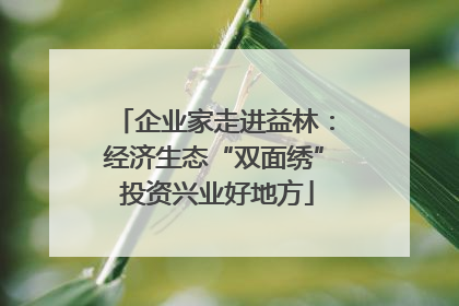 企业家走进益林：经济生态“双面绣” 投资兴业好地方