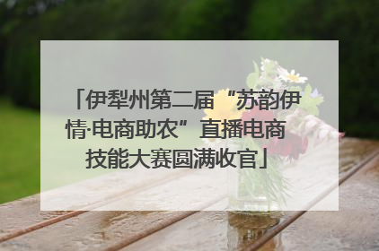 伊犁州第二届“苏韵伊情·电商助农”直播电商技能大赛圆满收官