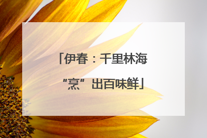 伊春：千里林海“烹”出百味鲜