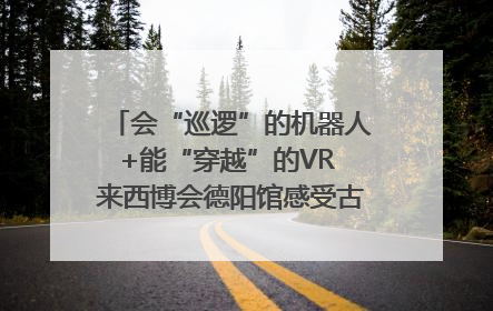 会“巡逻”的机器人+能“穿越”的VR 来西博会德阳馆感受古蜀文明与现代智造的时空对话｜西博视界