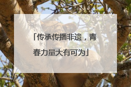 传承传播非遗，青春力量大有可为