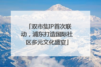 双市集IP首次联动，浦东打造国际社区多元文化盛宴