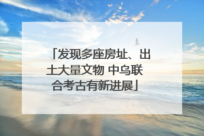 发现多座房址、出土大量文物 中乌联合考古有新进展