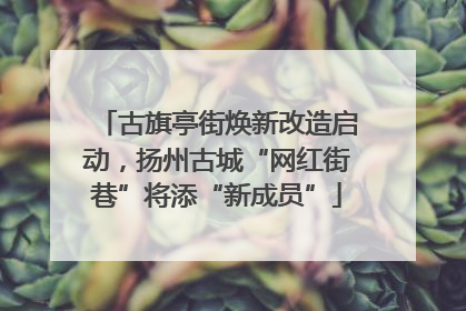 古旗亭街焕新改造启动，扬州古城“网红街巷”将添“新成员”