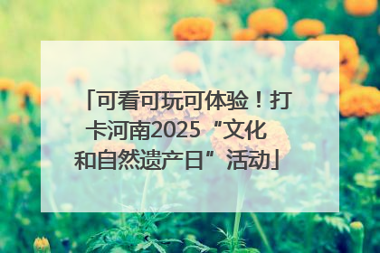 可看可玩可体验！打卡河南2025“文化和自然遗产日”活动