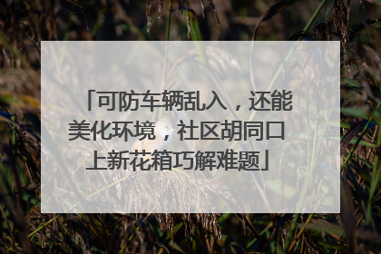 可防车辆乱入，还能美化环境，社区胡同口上新花箱巧解难题