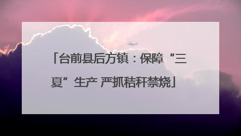 台前县后方镇：保障“三夏”生产 严抓秸秆禁烧