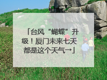 台风“蝴蝶”升级！厦门未来七天都是这个天气→