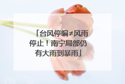 台风停编≠风雨停止！南宁局部仍有大雨到暴雨
