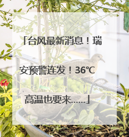 台风最新消息！瑞安预警连发！36℃高温也要来……
