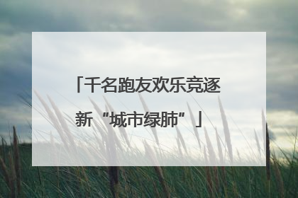 千名跑友欢乐竞逐新“城市绿肺”