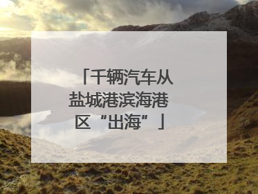 千辆汽车从盐城港滨海港区“出海”