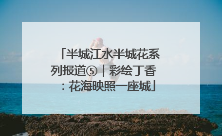 半城江水半城花系列报道⑤｜彩绘丁香：花海映照一座城