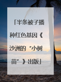 半条被子播种红色基因《沙洲的“小树苗”》出版