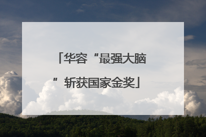华容“最强大脑”斩获国家金奖