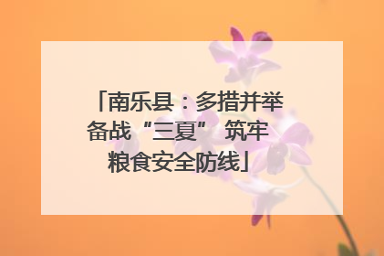 南乐县：多措并举备战“三夏” 筑牢粮食安全防线