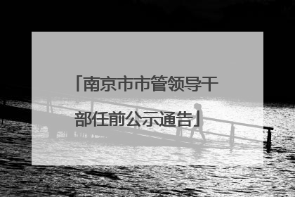 南京市市管领导干部任前公示通告