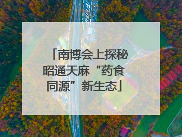 南博会上探秘昭通天麻“药食同源”新生态