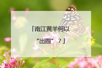 南江黄羊何以“出圈”？