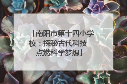 南阳市第十四小学校：探秘古代科技 点燃科学梦想