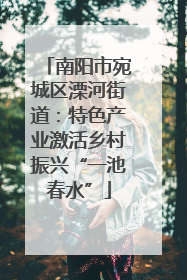 南阳市宛城区溧河街道：特色产业激活乡村振兴“一池春水”