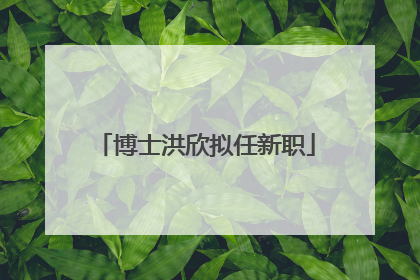 博士洪欣拟任新职