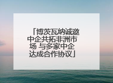 博茨瓦纳诚邀中企共拓非洲市场 与多家中企达成合作协议