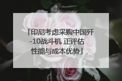 印尼考虑采购中国歼-10战斗机 正评估性能与成本优势