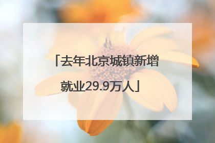去年北京城镇新增就业29.9万人