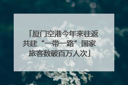 厦门空港今年来往返共建“一带一路”国家旅客数破百万人次