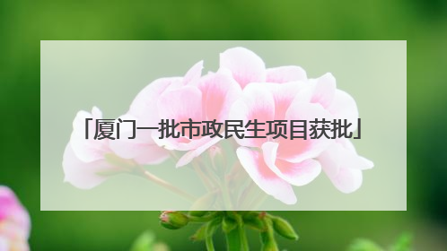 厦门一批市政民生项目获批