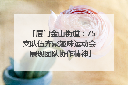 厦门金山街道：75支队伍齐聚趣味运动会 展现团队协作精神