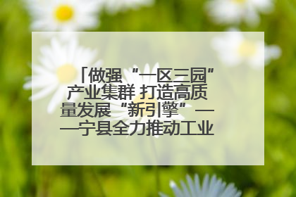 做强“一区三园”产业集群 打造高质量发展“新引擎”——宁县全力推动工业经济提质增效