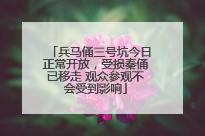 兵马俑三号坑今日正常开放，受损秦俑已移走 观众参观不会受到影响