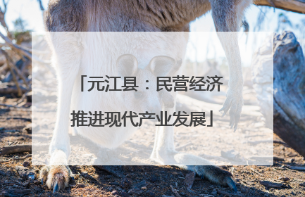 元江县：民营经济推进现代产业发展