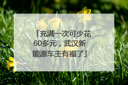 充满一次可少花60多元，武汉新能源车主有福了