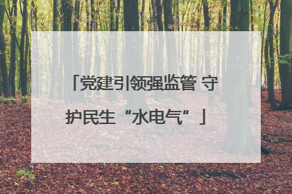 党建引领强监管 守护民生“水电气”