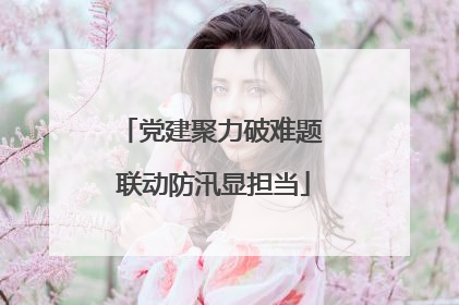 党建聚力破难题 联动防汛显担当