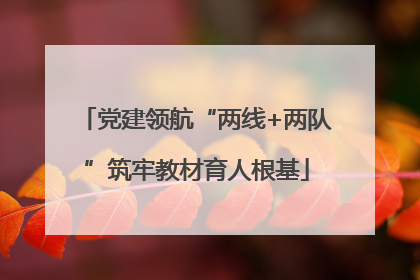 党建领航“两线+两队”筑牢教材育人根基