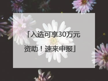 入选可享30万元资助！速来申报